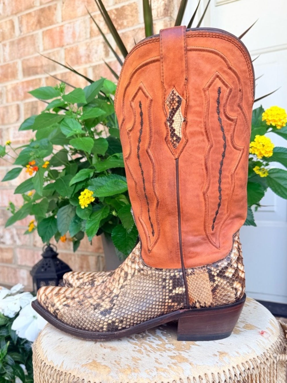 RARE Lucchese Python Snakeskin Brown Leather Pull On Snip Toe Cowboy Boots 8 - Picture 5 of 15